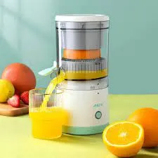 Portable electric juicer