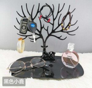 Earring and ring storage