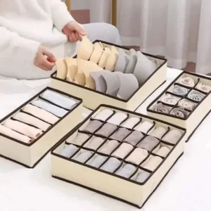 4in1 Under Garments Organizer