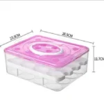 Egg Tray 1