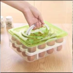 Egg Tray
