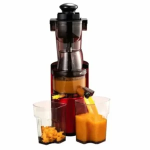 compact juicer for home use