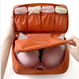 Portable undergarments organizer