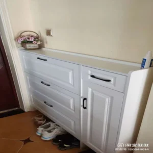 Space-saving high-capacity shoe cabinet