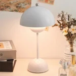 Office desk lamp