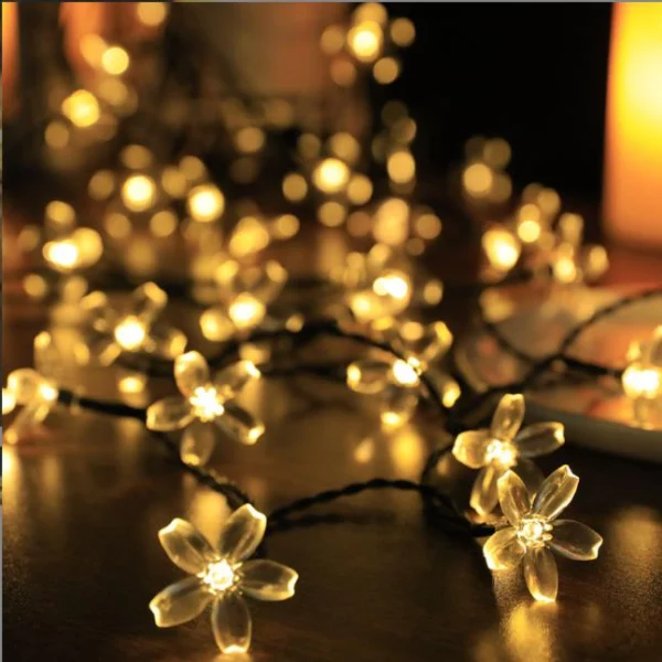 Holiday string lights