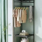 shoe and clothes hanger