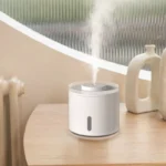 Nano Atomized Humidifier