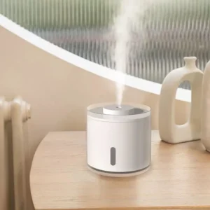Nano Atomized Humidifier