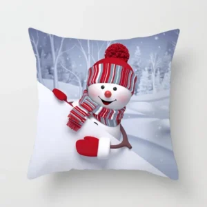 Christmas gift ideas