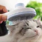 Self-cleaning pet comb