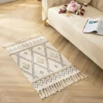 tassel accent carpet