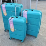 Luxurious travel luggage set