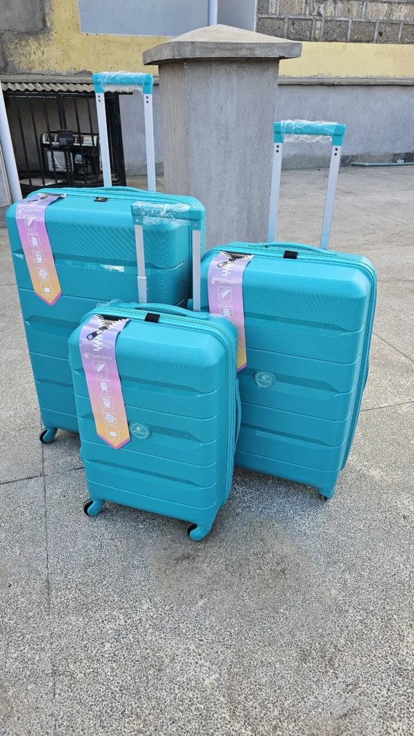 Luxurious travel luggage set
