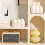 Unique tissue storage box