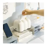 Novelty tissue holder