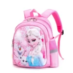 Frozen kindergarten bag