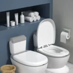 toddler toilet seat