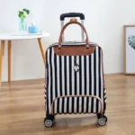 labor-saving luggage