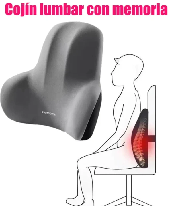 Neck and back car support