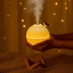 Ultrasonic diffuser for home