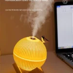 USB rechargeable humidifier