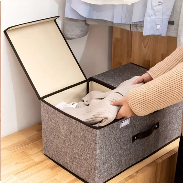 Closet Storage Box