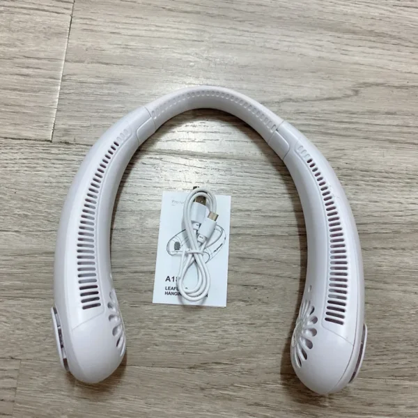 Portable rechargeable fan