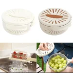 Fruit washing container