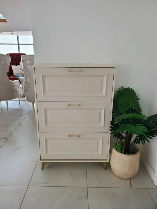 Luxury shoe cabinet Kenya