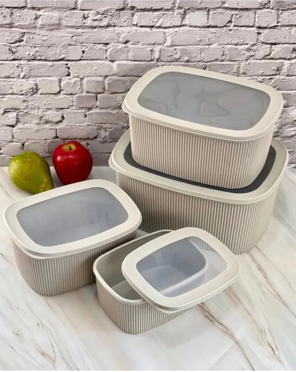 4pcs food container set