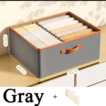 Double compartment organizer