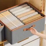 Double Compartment Closet Organizer