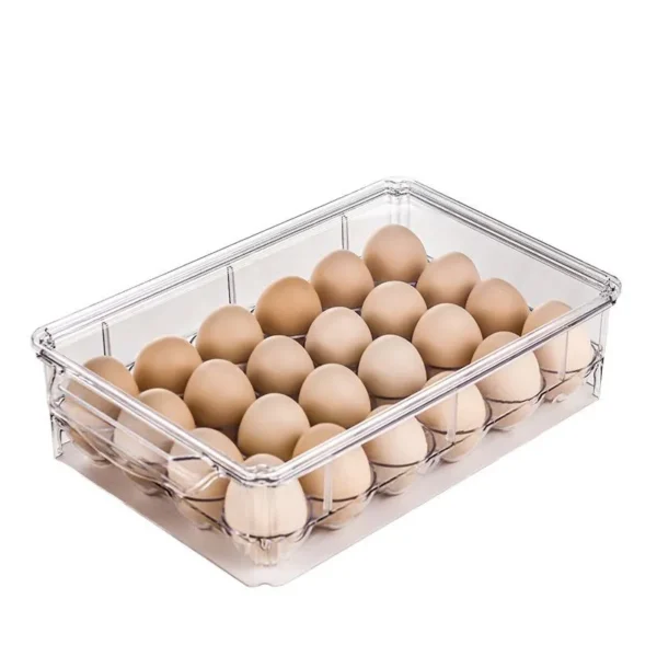 Acrylic egg holder Kenya
