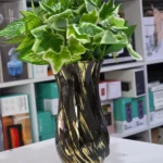 Gold Luxury Ceramic Vase – Elegant Home Décor 6 study room décor