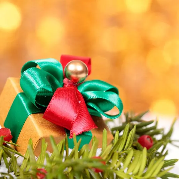 CATEGORIES 9 Seasonal & Festive