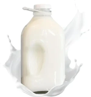 2 litre glass milk bottle