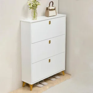 Elegant Bucket Flip Shoe Cabinet 