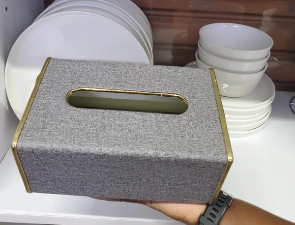 Elegant tissue holder