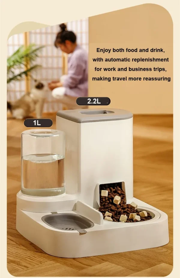 Pet food and water dispenser