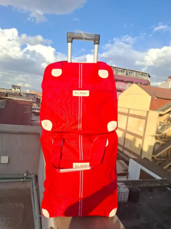 Premium travel suitcase set