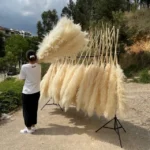 Big Fluffy Pampas Grass 7 Dried Pampas Grass Decor