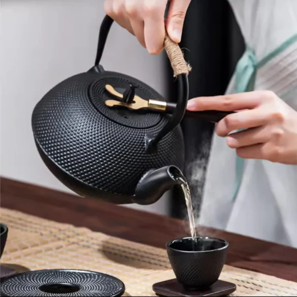 Japanese Cast Iron Teapot Set