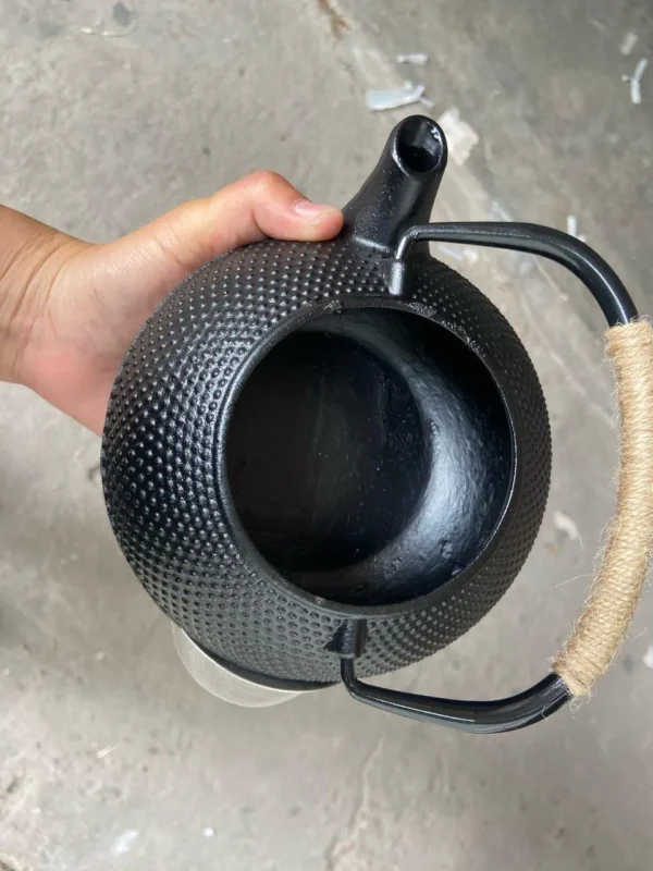 Kung Fu cast iron teapot set