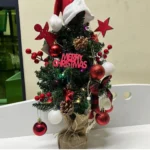 potted Christmas tree with lights