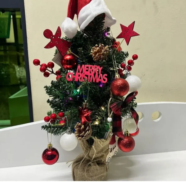 potted Christmas tree with lights