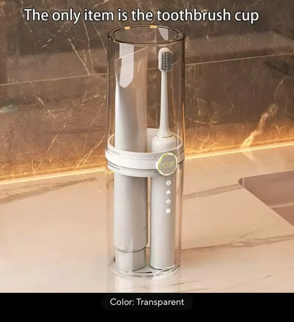 Travel toothbrush organizer