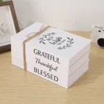 3pc Decor Books for Modern Home Décor 3 coffee table decor books