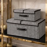 WhatsApp Image 2026 01 25 at 09.01.00