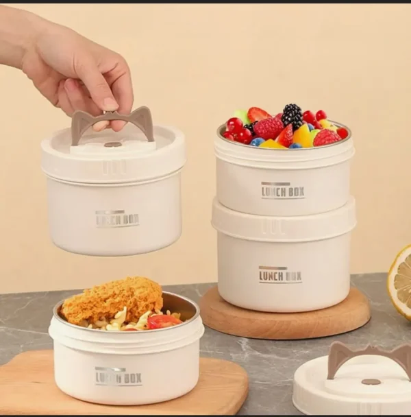 Stainless steel lunch box